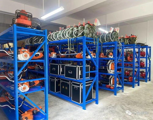 聆听森林的私语 光学器材的自然对话