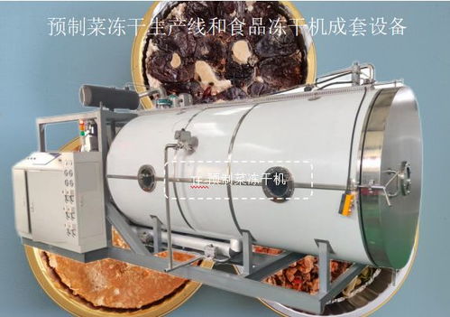 预制菜冻干生产线与食品冻干机成套设备在光学器材领域的应用